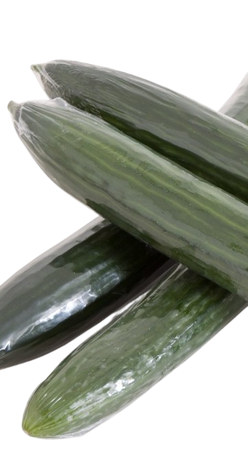 Krimp Komkommer Removebg Preview