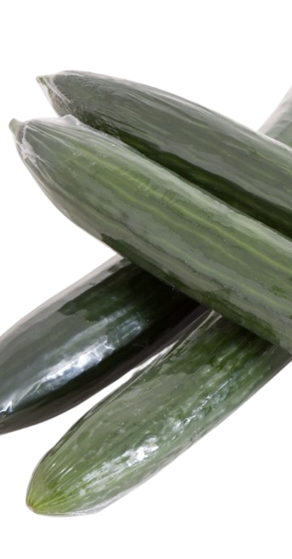 Krimp Komkommer Removebg Preview